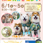 6月オープンのナーシングホームケアリー岩手一関、準備万端！